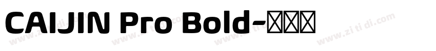 CAIJIN Pro Bold字体转换